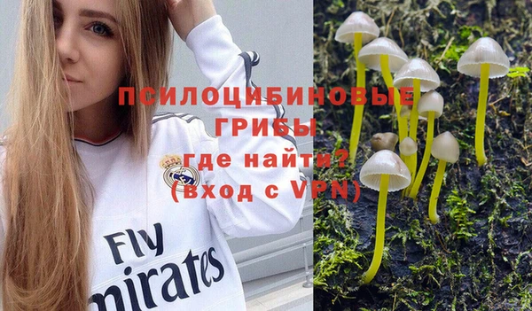 круглые Алексин