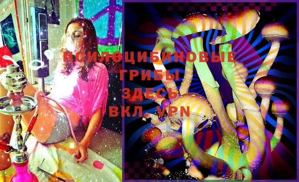 дурь Алзамай
