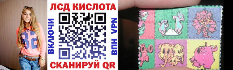 где купить   кракен как войти  Марки NBOMe 1500мкг  Первоуральск 
